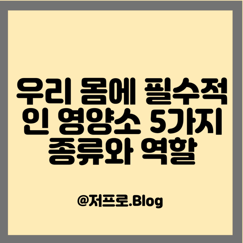 우리 몸에 필수적인 영양소 5가지 종류와 역할